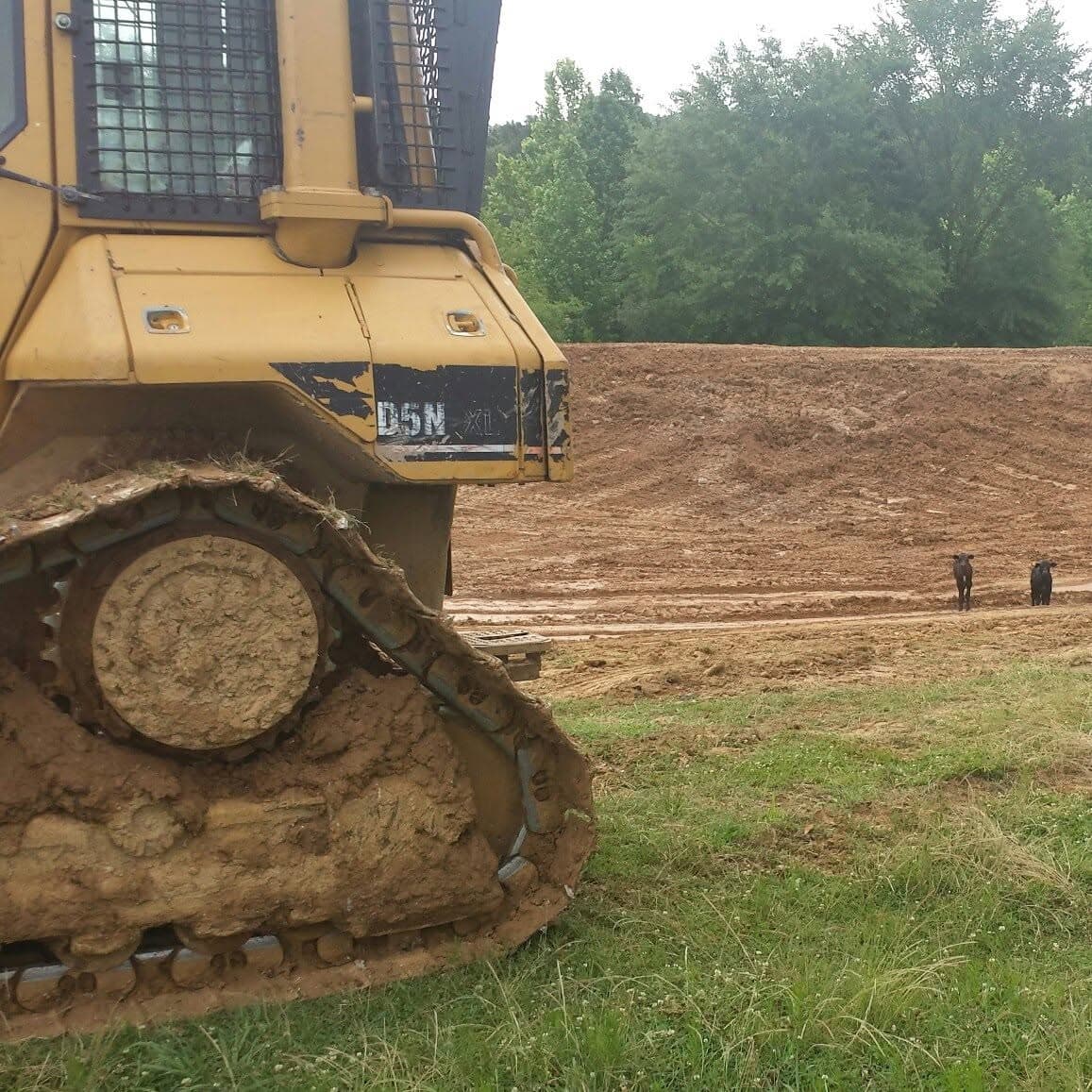 Bulldozer clearing land along a tree line on a Nichols and Sons Construction project