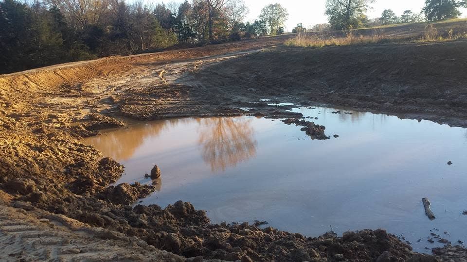 Newly excavated pond holding water in the late afternoon light